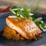 Seared Salmon Image