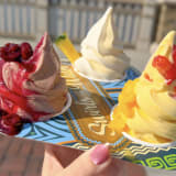 Seasonal DOLE Whip Sampler Image