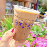 Caffé Shakerato Image