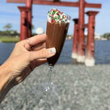 Chocolate Nigori Sake Image