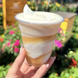 Lemon-Elderflower Float Image