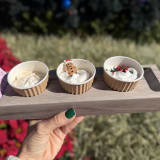 Festive Flight Image