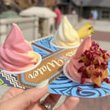 Seasonal DOLE Whip Sampler Image