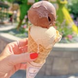 Single or Double Scoop Image