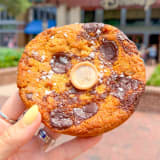 Chocolate Chip Cookie Image