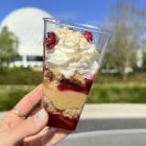 Panettone Holiday Trifle Image