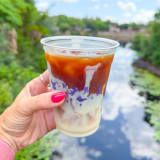 Vietnamese Iced Coffee Image