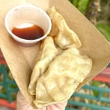 Chicken Pot Stickers Image