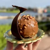 Escargot en Chocolat Image