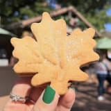 Maple Leaf Shortbread Cookie Image