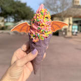 Imagination Cone Image