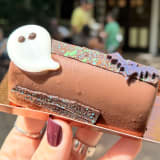 Boo Log Image