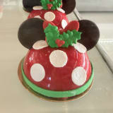 Minnie Petite Dome Image