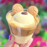 "Affogato" Espresso Gelato Image