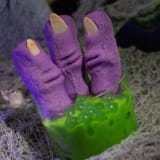 Witches Fingers Image