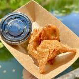 Chicken Dumplings Image