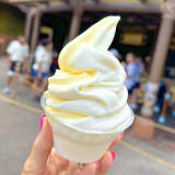 Coconut Cup Image