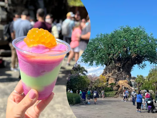 SNACKING around ANIMAL KINGDOM 2026 Image