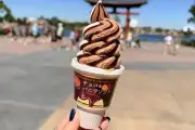 Belgium Chocolate & Vanilla Hokkaido Soft Serve