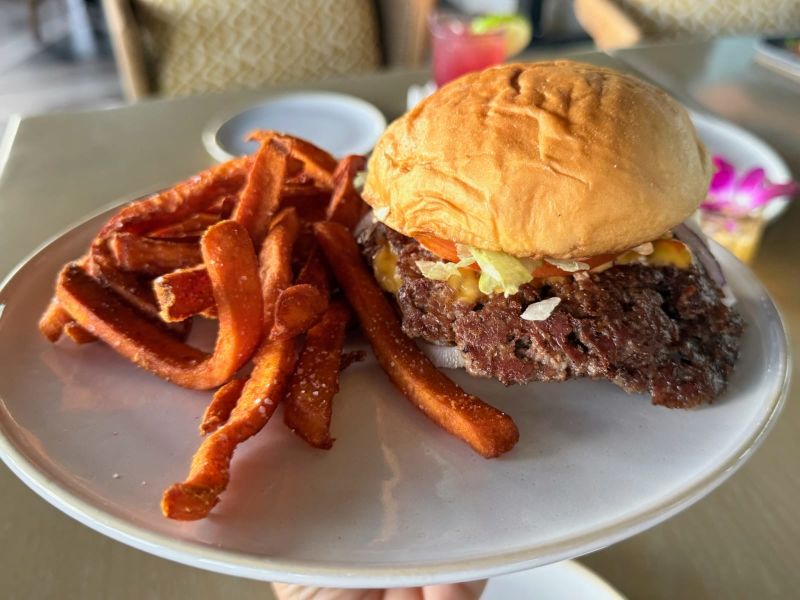 Mains Image