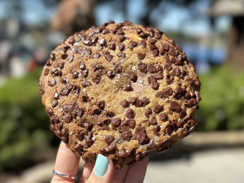 Triple Chocolate Chip Cookie Image