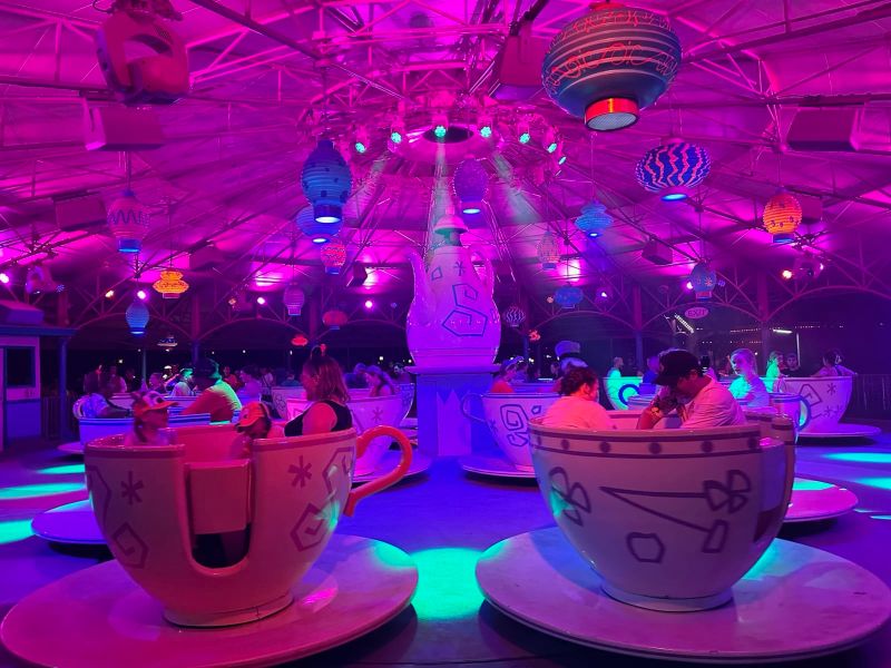 FAVORITE ATTRACTIONS Image