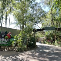 Rainforest Cafe® Image