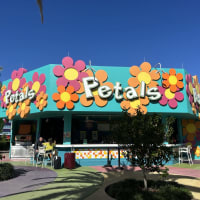 Petals Pool Bar Image