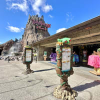 Rainforest Cafe® at Disney Springs Image