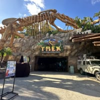 T-REX ™ Image