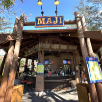 Maji Pool Bar Image