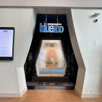 Todd English's bluezoo Image
