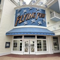 Flying Fish Image