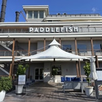 Paddlefish Image