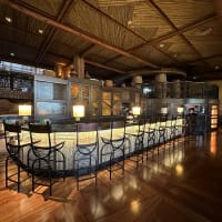 Victoria Falls Lounge Image