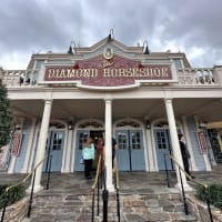 The Diamond Horseshoe Image