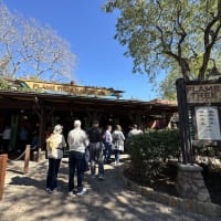 Flame Tree Barbecue Image
