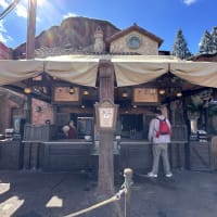 Prince Eric's Village Market Image
