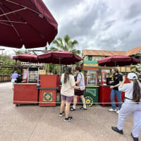 Spring Roll Snack Cart Image