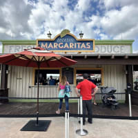 Dockside Margaritas Image