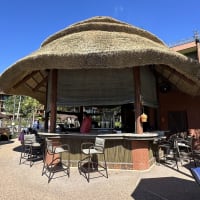 Uzima Springs Pool Bar Image