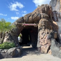 Lava Lounge at Rainforest Cafe Image
