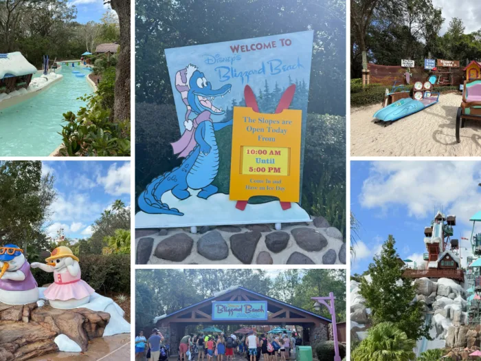 Disney's Blizzard Beach Water Park Reopens with Sweet New Treats! Image