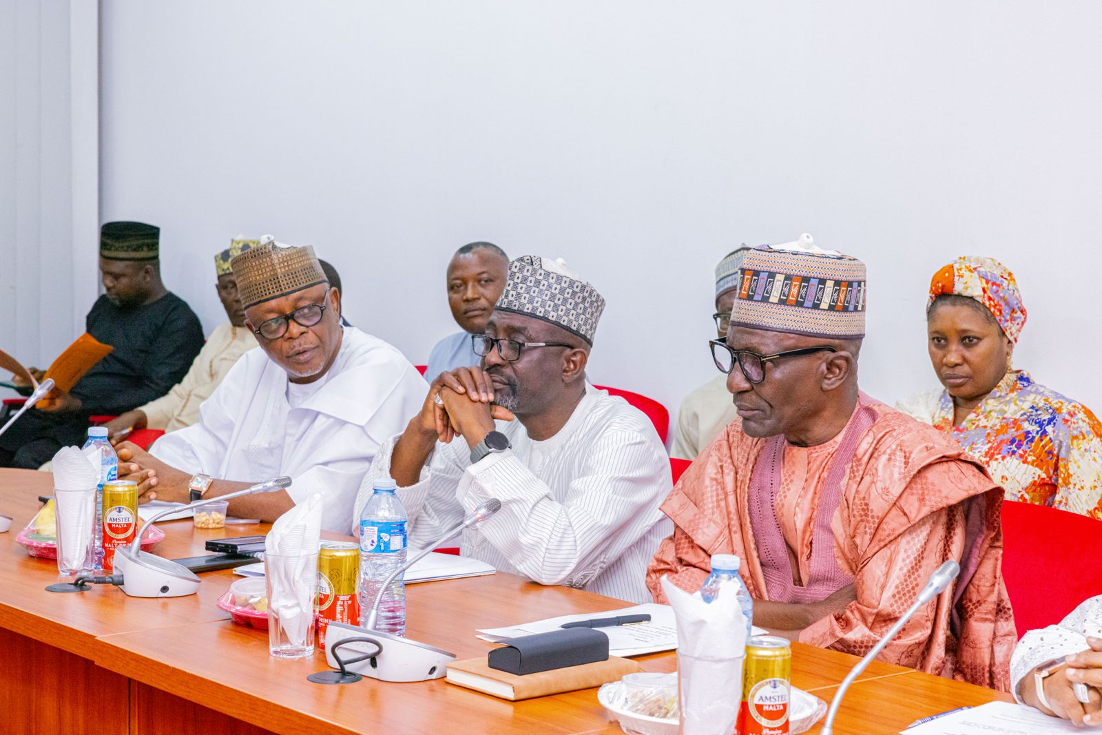 SENATE COMMITTEE ON NORTH CENTRAL DEVELOPMENT COMMISSION COMMENDS BOARD & MANAGEMENT; ADVOCATES MORE FUNDING government update from the North Central Development Commission