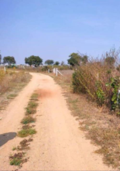 An image of land