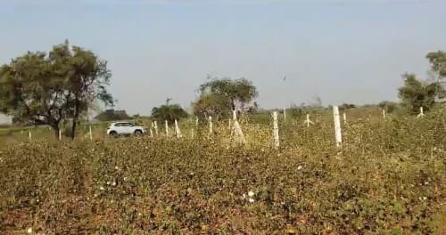 An image of land