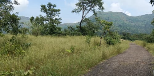 An image of land