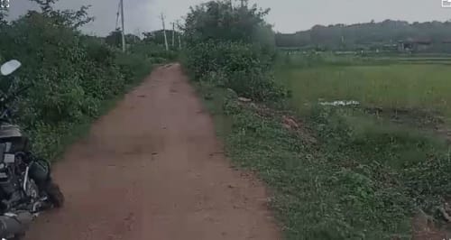 An image of land