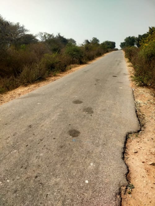An image of land