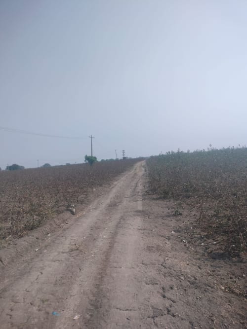 An image of land